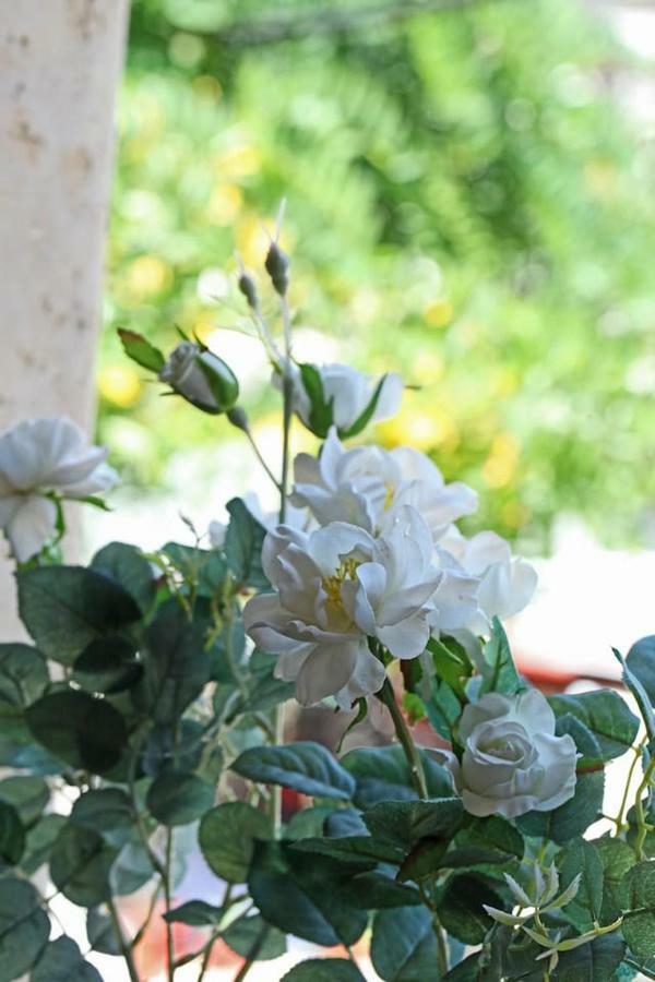 Apartamento Beautiful In Traditional Halkidiki-uvc Sterilized *